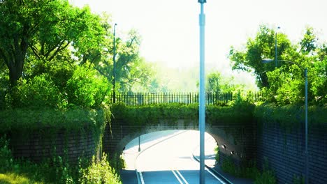 Bogenbrücke-Mit-Lebenden-Buschzweigen-Im-Park